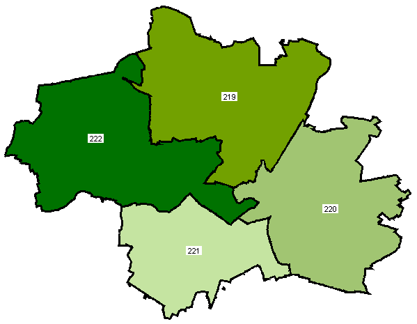 GRÜNE nach Wahlkreisen